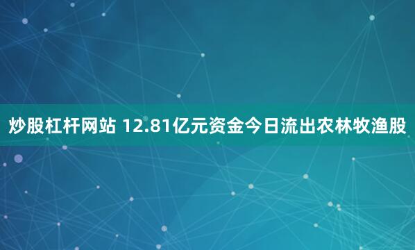 炒股杠杆网站 12.81亿元资金今日流出农林牧渔股